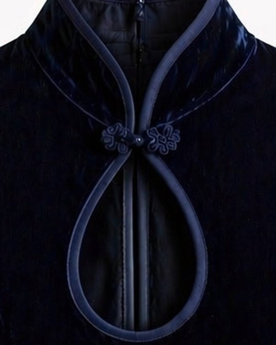 Yumeji Classic Velvet Dress, Short Sleeve, collar and fastening in close up