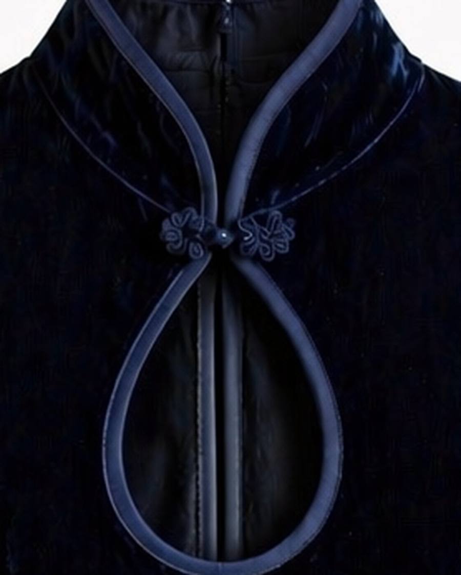 Yumeji Classic Velvet Dress, Sleeveless, collar and fastening in close up